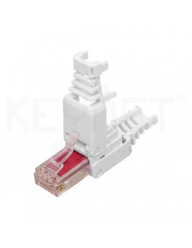 Conector RJ45 Cat6 UTP