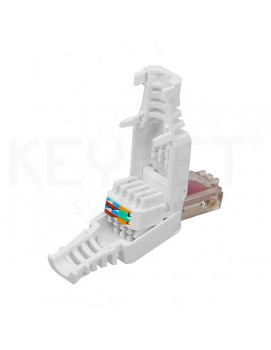 Plug modular tooless UTP Cat6