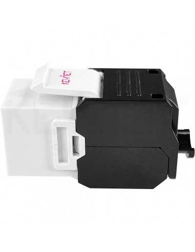 copy of Keystone Cat6 180º blanco