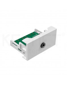 Multimedia module Minijack...