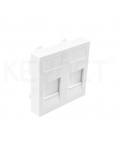 Module for 2 RJ45