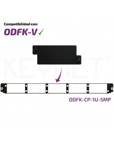 Mini frontal tapa ciega...