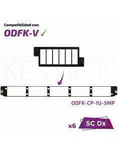 Mini frontal bandejas ODF