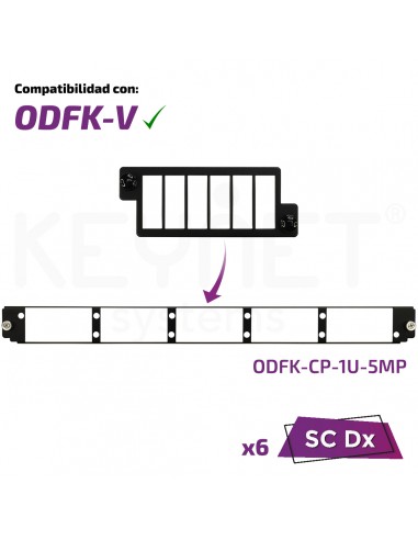 Mini frontal bandejas ODF