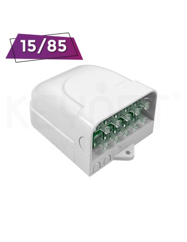 distribuição caixa assimétrica 10p SC...