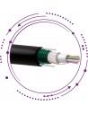 F6-Cable SM holgada monotubo armada fibras vidrio PE -exterior-