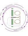 Repartidores asimétricos 1:17 con derivación SC/APC