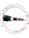 F24-Cable SM holgada multitubo armada fibras vidrio doble cubierta B2ca LSZH -exterior-
