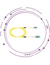 Latiguillos/Patchcords "keylight" uniboot reversibles G657A2